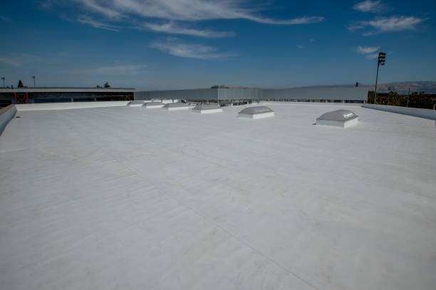 Best Green or Eco-Friendly Roofing Solutions  in Elmwood Place, OH