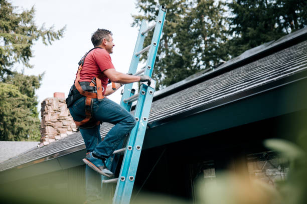Best Asphalt Shingles Roofing  in Elmwood Place, OH